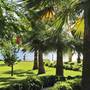 Горящие туры в отель Villa Augusto Boutique Hotel & Spa - 4