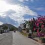 Горящие туры в отель Sunny Garden Nilufer Hotel - 1