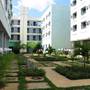 Горящие туры в отель Islazul Hotel Tulipan - 1