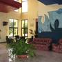 Горящие туры в отель Islazul Hotel Tulipan - 6