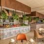 Горящие туры в отель Hyatt Zilara Cancun - 5