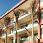 Горящие туры в отель The Palm at Playa - 1