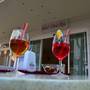 Горящие туры в отель Hotel Silvie Rose - 4