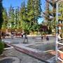Горящие туры в отель Hotel Ritsa - 6