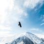 Горящие туры в отель Rooms Hotel Kazbegi - 4