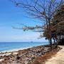 Горящие туры в отель Phi Phi Natural Resort - 2