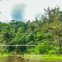 Горящие туры в отель Jungle Retreat by Kupu Kupu Barong - 6