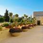 Горящие туры в отель The Sephardic House - 3