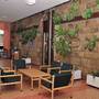 Горящие туры в отель Hotel Breza, Vrnjacka Banja - 2