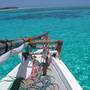 Горящие туры в отель Flame Tree Cottages - 1