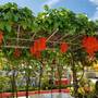 Горящие туры в отель The BluEco Hotel - 6