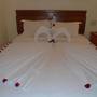 Горящие туры в отель Botanic Hotel - 4