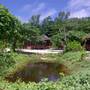 Горящие туры в отель Heliconia Grove Villas - 5