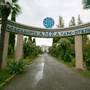 Горящие туры в отель Amza Park Hotel - 3