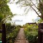 Горящие туры в отель Paradise Pearl Bungalow - 6
