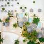 Горящие туры в отель Gold Zanzibar Beach House & Spa - 4