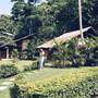 Горящие туры в отель Talalla Retreat - Ayurveda Hotel - 3