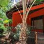 Горящие туры в отель Spice Island Hotel & Resort - 4