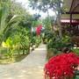 Горящие туры в отель Ban Chom Samed Resort - 2