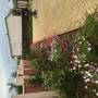 Горящие туры в отель Resort on Papaskiri 76 - 6
