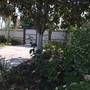 Горящие туры в отель Guest House Evkalipt - 6