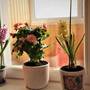 Горящие туры в отель Apartments on Travyanaya - 5
