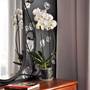 Горящие туры в отель Apartments on Travyanaya - 2