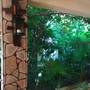Горящие туры в отель Morskoy Guest House - 4