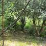 Горящие туры в отель Dom-cottage na Druzhby - 3