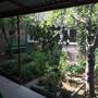 Горящие туры в отель Guest House Grusheviy Dom - 3