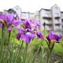 Горящие туры в отель Apartments Hobzaland - 2