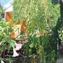 Горящие туры в отель Azanta Guest House - 6