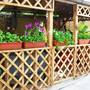 Горящие туры в отель Solnechnyy Guest House - 4