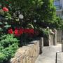 Горящие туры в отель Tatyana Guest House - 1
