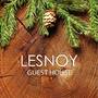 Горящие туры в отель Lesnoy Guest House - 1