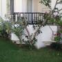 Горящие туры в отель Acelya Hotel - 1
