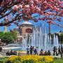Горящие туры в отель May Hotel Istanbul - 1