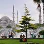 Горящие туры в отель May Hotel Istanbul - 2