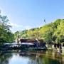 Горящие туры в отель Gazelle Resort & Spa - 2