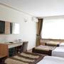 Горящие туры в отель Baskent Hotel - 5