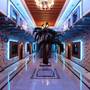 Горящие туры в отель Arya Hotel Sakarya - 5