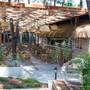 Горящие туры в отель Pine Valley Hotel Oludeniz - 1