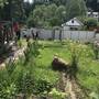 Горящие туры в отель Guest House Kristina - 6