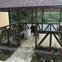 Горящие туры в отель Guest House Kristina - 4