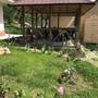 Горящие туры в отель Guest House Kristina - 5