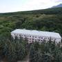 Горящие туры в отель Гостиница Жемчужина Кавказа - 4