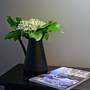 Горящие туры в отель Apart-Hotel Plantage - 5