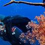 Горящие туры в отель Desroches Island Resort Seychelles - 5