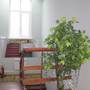 Горящие туры в отель Pridorozhnaya Guest House - 4