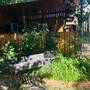 Горящие туры в отель Guest House San Bah - 6